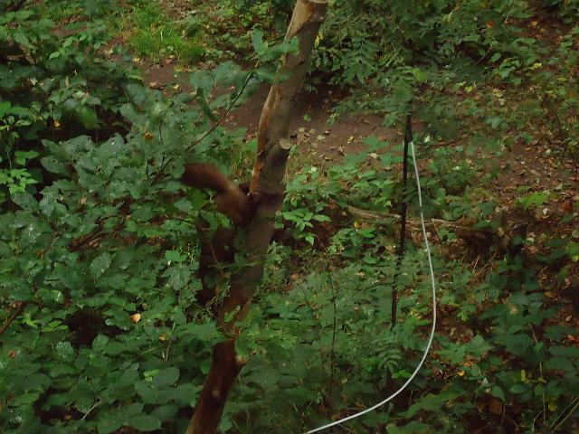 Damenfahrt Otterzentrum 027.jpg